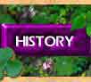 history