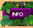 info