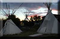 Tipis for rent